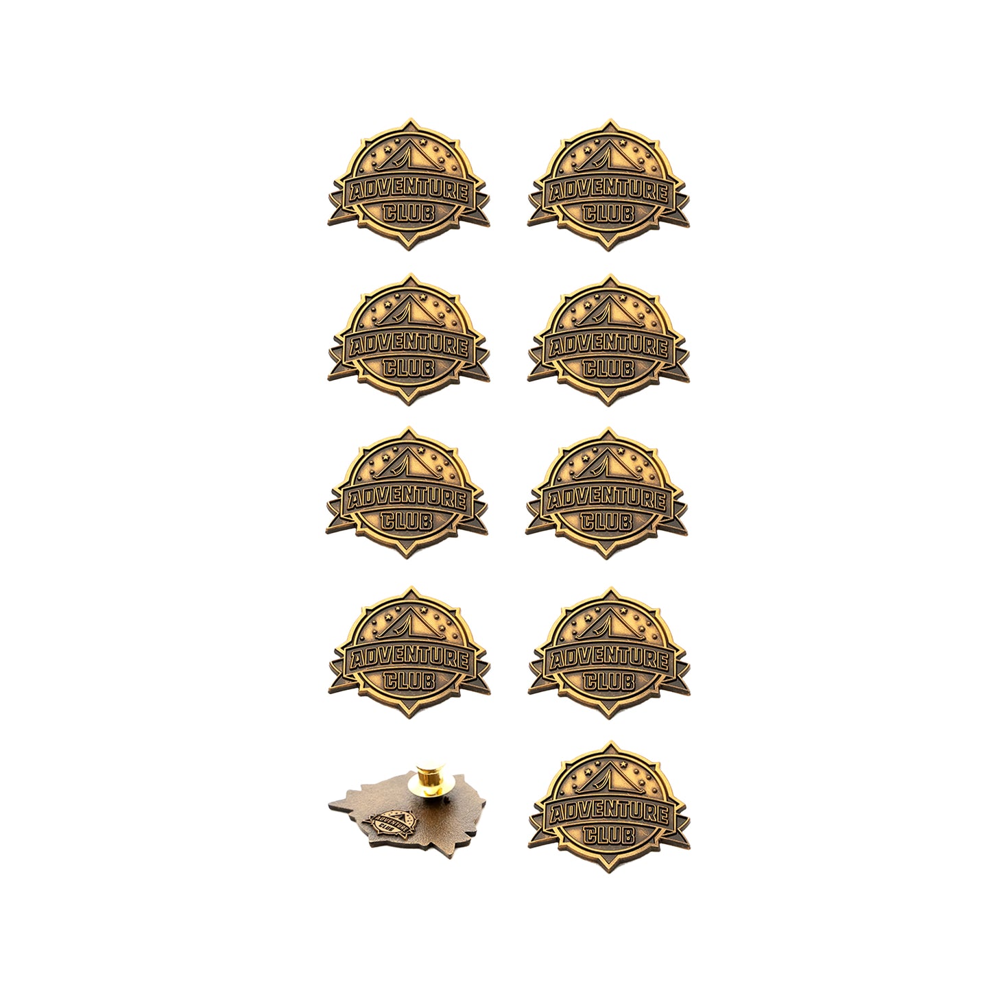 Team Logo and Review Week Pins
