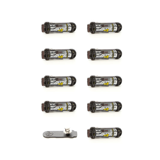 Trailblazers - Year 1 Pins