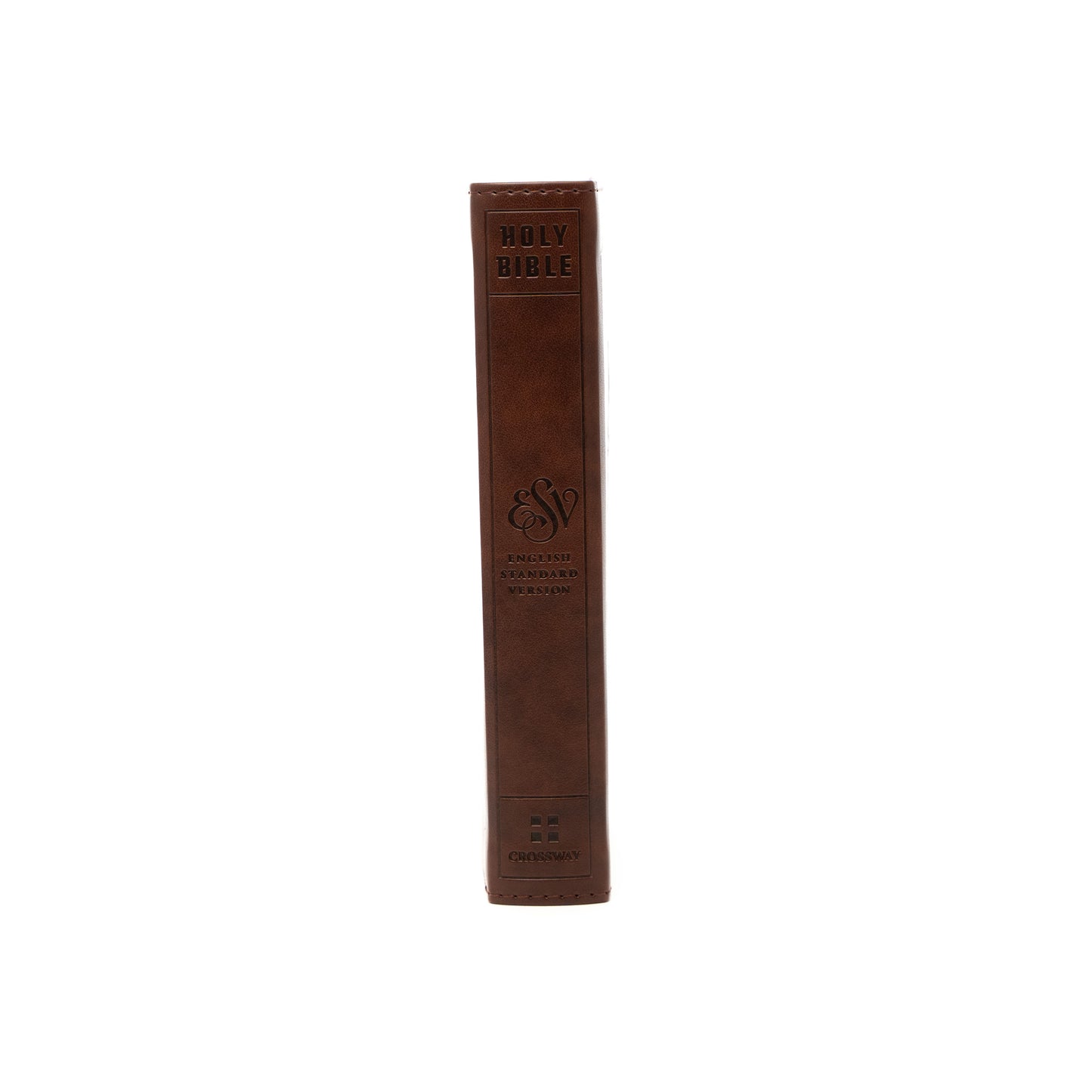 Adventure Club Kid's Bible - ESV