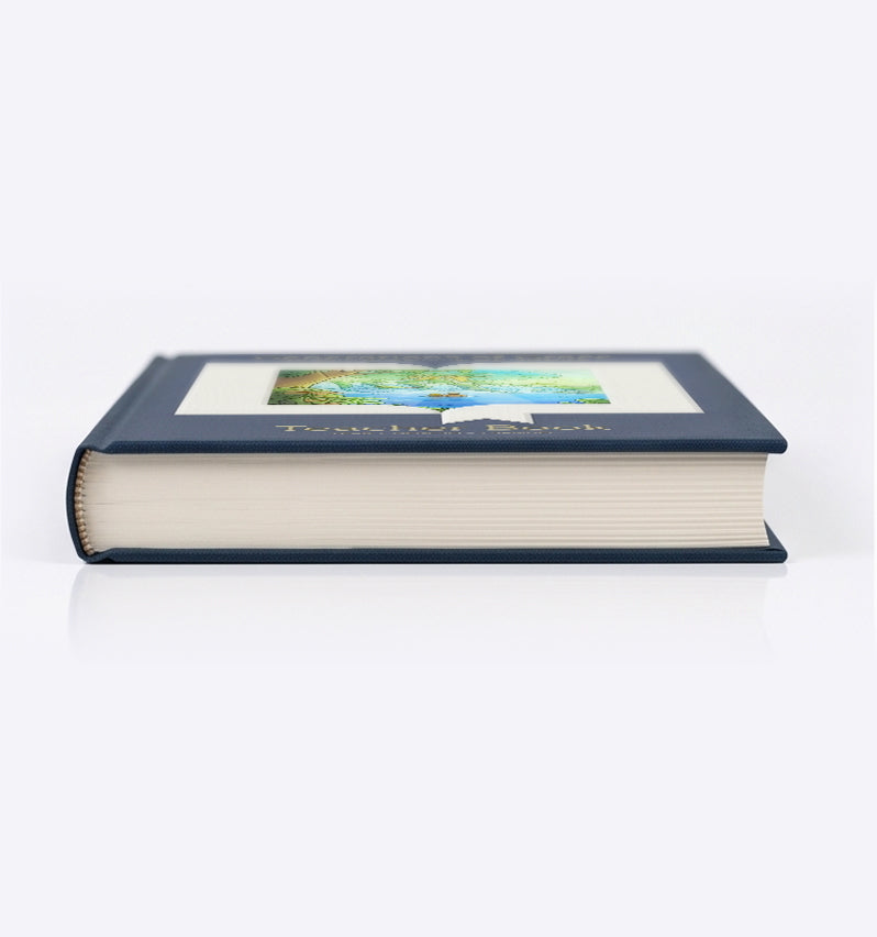Teacher Book - Year 1 - 3rd Edition