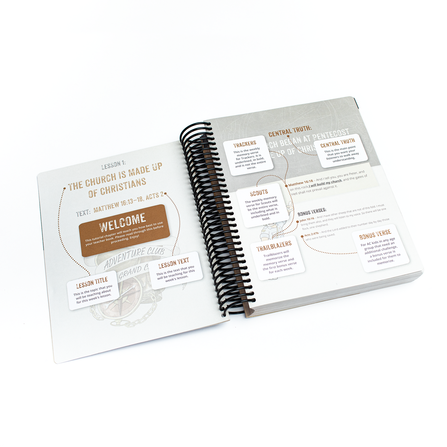 Teacher Book - Year 1 - 1st Edition